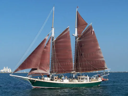 Fish, learn, eat, sail